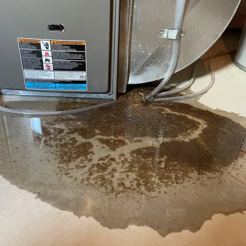Appliance Leak Cleanup in Hawaiian Paradise Park, HI