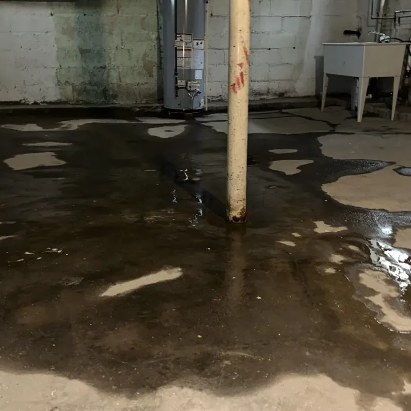 Emergency Water Extraction And Removal in Hawaiian Paradise Park, HI